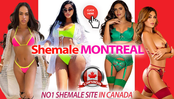 Montreal shemale escorts