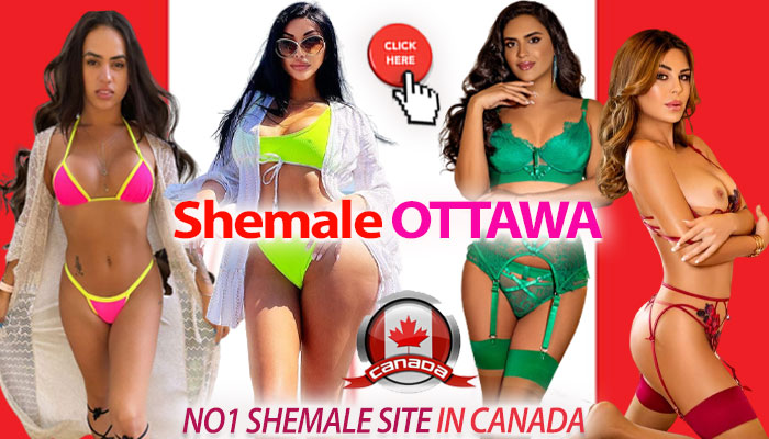Ottawa shemale escorts
