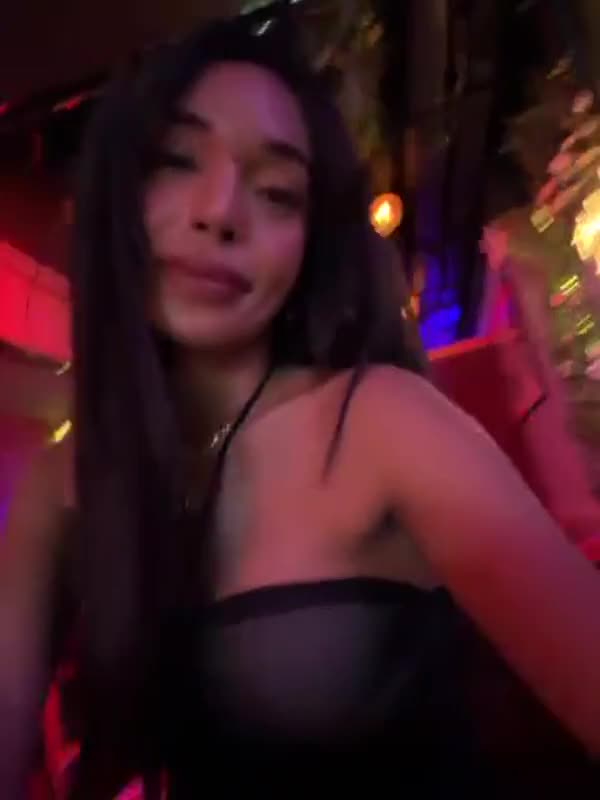 feedvid-TransMocha-6015050  TransMocha feed video