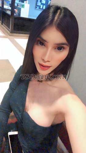 trans girl AMIRAHLOVE 6182280 trans girl AMIRAHLOVE 6182280