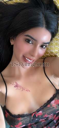 trans girl AMIRAHLOVE 7399198 trans girl AMIRAHLOVE 7399198