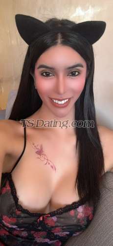 trans girl AMIRAHLOVE 9610995 trans girl AMIRAHLOVE 9610995