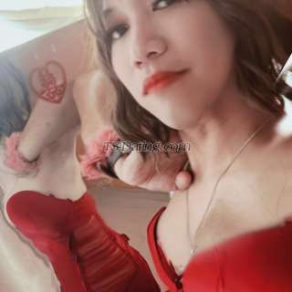 Shemale-ARENA-8320046