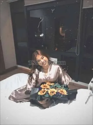 Shemale ARKISY 9789754 Shemale ARKISY 9789754