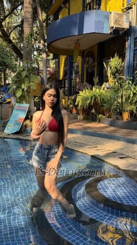 trans girl Aafree 7360644 trans girl Aafree 7360644