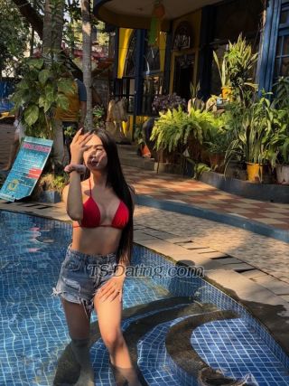 trans girl Aafree 7360663 trans girl Aafree 7360663