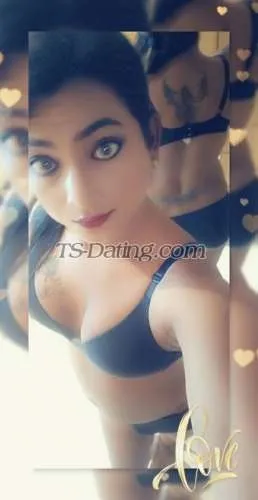 Shemale Aaliya 4880843 Shemale Aaliya 4880843