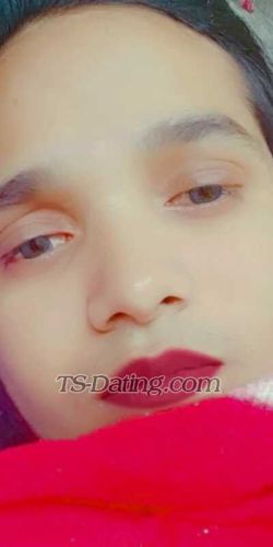 trans girl Aaliyaansari 4717243 trans girl Aaliyaansari 4717243