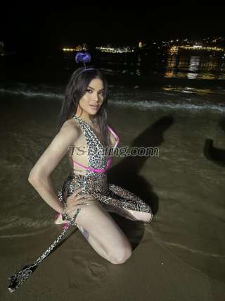 trans girl Aamar 3274821 trans girl Aamar 3274821