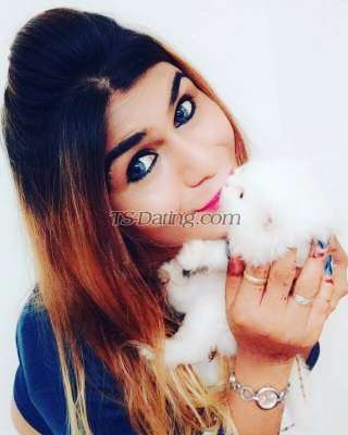 trans girl Aarohi144 6253805 trans girl Aarohi144 6253805