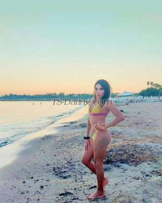 trans girl Afrodite22hot 9546482 trans girl Afrodite22hot 9546482