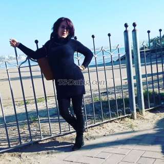 trans girl Agadirsamir 8818269 trans girl Agadirsamir 8818269