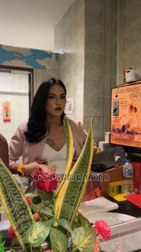 trans girl Ahmed1997 6092247