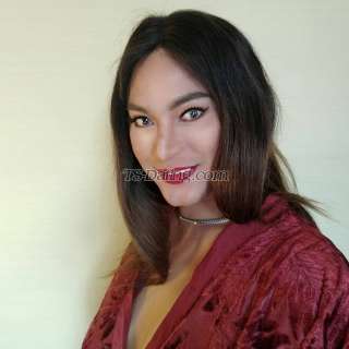 trans girl Ahrya 0482880 trans girl Ahrya 0482880