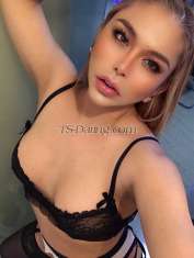 Ahyel Milan Transex 1000€ INCALL 2000€ OUTCALL

Whatsapp ‪ 

+39 3514879238



IF YOU LOOKING FOR FREE SEX DONT BOTHER ME YOU WILL BE AUTOMATICALLY BLOCKED SO DONT WASTE MY TIME❌❌

WASTE TIMER WILL BE BLOCKED 
PICTURE COLLECTOR WILL BE BLOCKED







high class independent transexual escort companion. If you are seeking the very best experiences that life has to offer then look no further as you have found me!
I am the perfect companion, I offer a genuine, warm and very friendly experience, or I can be your seductive courtesan like in your dreams. My sensuality will seduce you and my sense of humor and easy-going attitude to life will win you over the moment we meet. You will find me impeccably presented and always incredibly sexy, fitting into all social and private situations with ease. And you will also find my attitude to be a breath of fresh air... as relaxed as the exotic sunshine itself...I radiates sincere warmth and my lust for life will entice you to live for the moment with passion.

I'm your T- girl that u can say up for anything you want to do ! I would love to exprnce new things . I a sure my partner will enjoy my company being with me ,

Ps. great things in life doesn't come cheap, don't expect me to be



 