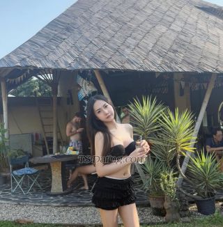 trans girl Aileenny 3634442 trans girl Aileenny 3634442