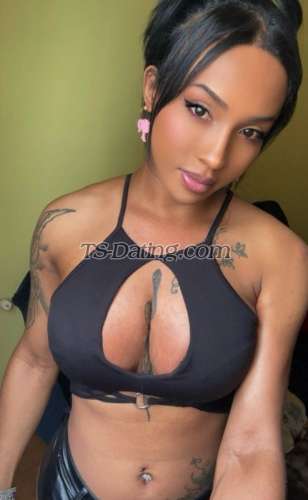 trans girl AlejandraGFE 0056506 trans girl AlejandraGFE 0056506