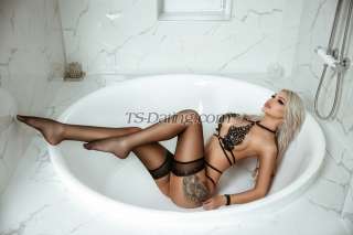 trans girl Alessandra06 3941498 trans girl Alessandra06 3941498