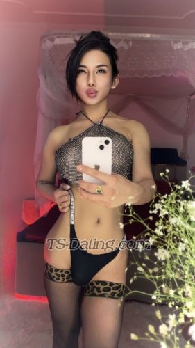 trans girl AliKettyWeni 1699099 trans girl AliKettyWeni 1699099