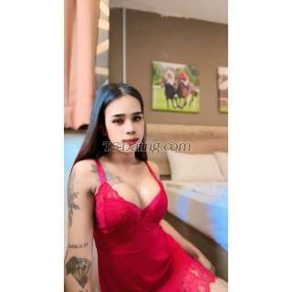 trans girl AlinaRoxy 8700272 trans girl AlinaRoxy 8700272