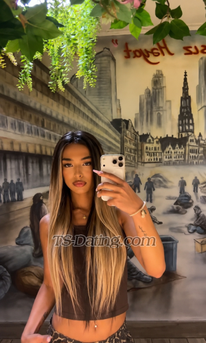 trans girl Alinaoax 8421946 trans girl Alinaoax 8421946