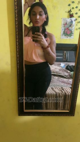 trans girl Alisha25 8367014 trans girl Alisha25 8367014