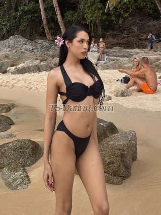 trans girl Amanda27 7727595 trans girl Amanda27 7727595