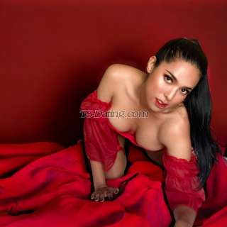 trans girl Amanda27 8896257 trans girl Amanda27 8896257