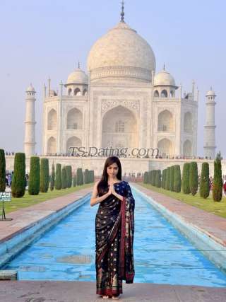 trans girl AmandaGrey 4271565 trans girl AmandaGrey 4271565