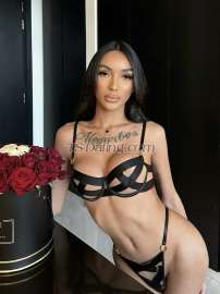 Amanda K Dubai Transex Are you looking for someone feminine yet fully functional? That can top can be bottom can cum too? Clean and very hygienic? Well-mannered, educated & passionate TS? Look no further, you found the right one for you. 💋

Photos are REAL Feel free to video call to verify.

& If you really want to have an unforgettable moment with no rush experience and nice companionship, just contact me and we can have a good time together and much more.

Don't hesitate to message or call me anytime. 🤍
Camshow ✅ 
Crypto Payment ✅