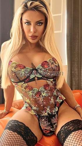 trans girl AmandaLear 6031368 trans girl AmandaLear 6031368