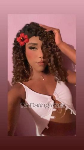 trans girl AmandaReyes 1019465 trans girl AmandaReyes 1019465