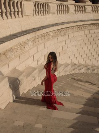 trans girl Amayla 8620252 trans girl Amayla 8620252