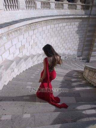 trans girl Amayla 8620276 trans girl Amayla 8620276