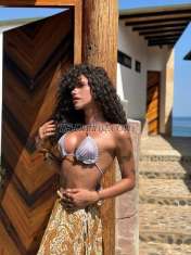 Ambar Mendoza Lima Transex Hola, soy ámbar

Jovencita alegre versátil con 21
cm de dotación me encanta salir y pasarla rico escríbeme
si quieres conocerme. ❤️

Hago encuentros y
videollamadas previa coordinación. 🫶🏻
