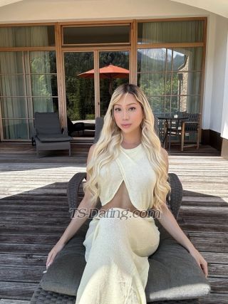 trans girl AmberBella 1569431