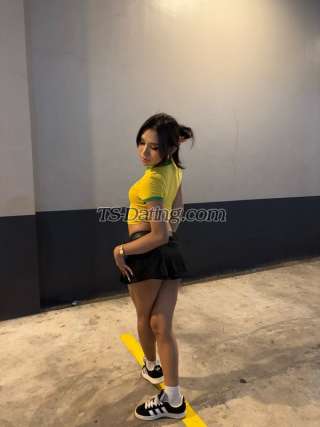 trans girl Amberfox08 4577252 trans girl Amberfox08 4577252