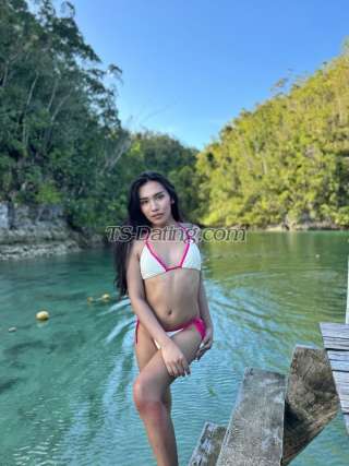 trans girl Amberfox08 5352252 trans girl Amberfox08 5352252