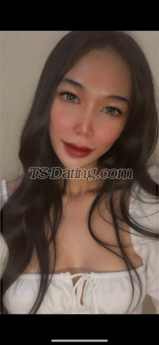 trans girl AmeliaTS21 8057452 trans girl AmeliaTS21 8057452