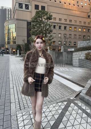 trans girl Ameliasuasa 8319230 trans girl Ameliasuasa 8319230