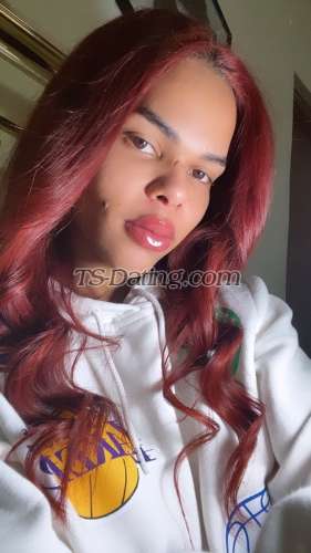 trans girl AmericanAng 7576113 trans girl AmericanAng 7576113