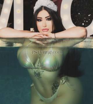 trans girl Amika7878 0868640 trans girl Amika7878 0868640