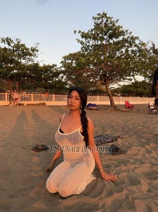 trans girl Amirasohott 0085842 trans girl Amirasohott 0085842