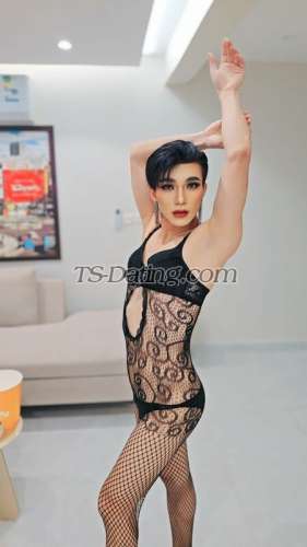 trans girl Ammy78 3181313 trans girl Ammy78 3181313