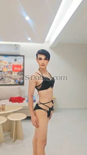 trans girl Ammy78 3181407 trans girl Ammy78 3181407