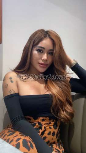 trans girl Amoradevina69 8151904 trans girl Amoradevina69 8151904