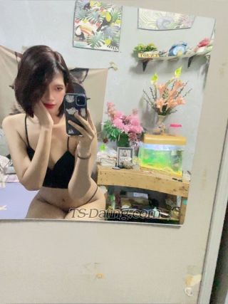 trans girl Amoramu17 4479689 trans girl Amoramu17 4479689