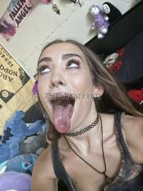 AmyJay Edmonton Transex Привет, папочка! Я Эми, весёлая и общительная, сексуальная трансгендерная красотка! Я покорная, пассивная, но могу быть доминанткой, если хочешь. Известна своими огромными губами. Обожаю сосать и трахаться в рот! Главное для меня — чтобы вы хорошо проводили время, оставаясь незаметными и в безопасности! Я открыта для новых идей, дружелюбна и жизнерадостна. Рост 15 см, просто конфетка. Живу в новом роскошном многоквартирном доме в центре Эдмонтона! Выезды и выезды. Давайте повеселимся, я буду твоей куколкой. Bbbj, cim, cof, dfk, gfe, все включено. Msog включен только в сеансы продолжительностью от одного часа* ВЫЗОВ: 380 долларов в час 250 долларов за полчаса 2200 долларов за ночь ВЫЕЗД 450 долларов в час + сборы Uber в обе стороны