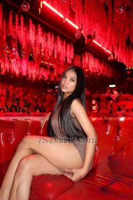 Anastasha lil Kota Kinabalu Transex About me
Hello my name is anastasha from philliphines I'm half
Indonesia half pilipina lady boy wanna try me and i will give you a 100% satistaction babe! and will give your all fantasy no rush and will make you happy until make you satisfied! Let's make you experience Asian pilipina boy have a finch and verry strong cock! What you see in the picture what you get! Book me now