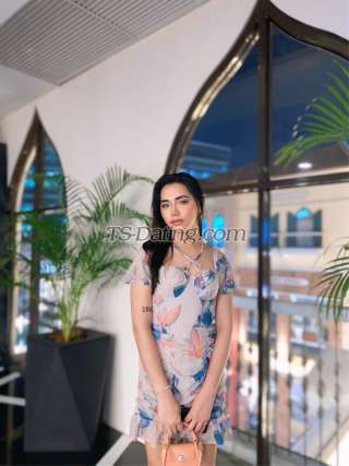 trans girl Andreanicole 3817798 trans girl Andreanicole 3817798